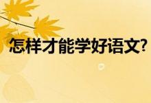 怎样才能学好语文?（怎样有效的学习语文）