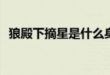 狼殿下摘星是什么身份(狼殿下摘星的身份)