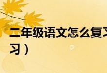 二年级语文怎么复习期中（二年级语文怎么复习）