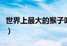 世界上最大的猴子叫什么（世界上最大的猴子）