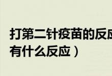 打第二针疫苗的反应胸口闷（打了第二针疫苗有什么反应）