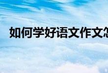 如何学好语文作文怎么写（如何学好语文）
