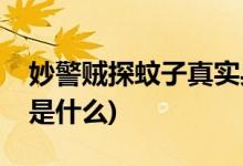 妙警贼探蚊子真实身份(妙警贼探蚊子的身份是什么)