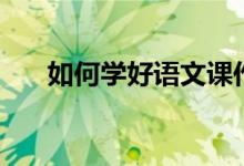 如何学好语文课作文（如何学好语文）