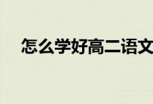 怎么学好高二语文（怎么学好高二语文）