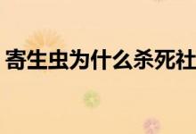 寄生虫为什么杀死社长(寄生虫为何杀朴社长)