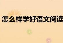 怎么样学好语文阅读理解（怎么样学好语文）