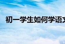 初一学生如何学语文（初中生怎样学语文）