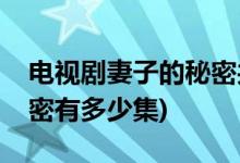 电视剧妻子的秘密共多少集(电视剧妻子的秘密有多少集)