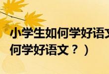 小学生如何学好语文的方法及技巧(小学生如何学好语文?)