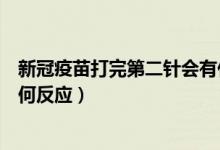 新冠疫苗打完第二针会有什么反应（新冠疫苗第二针打完有何反应）