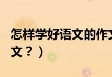 怎样学好语文的作文300字左右（怎样学习语文？）