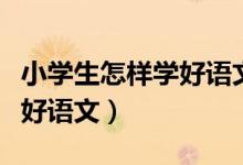小学生怎样学好语文三四年级（小学生怎样学好语文）
