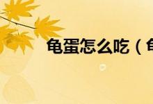 龟蛋怎么吃（龟蛋怎么吃最合适）