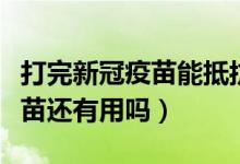 打完新冠疫苗能抵抗病毒吗（新冠病毒变异疫苗还有用吗）
