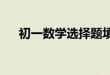 初一数学选择题填空题的解题技巧方法