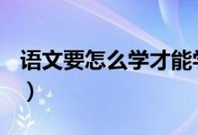 语文要怎么学才能学好（寒假如何学习语文？）