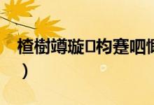 楂樹竴璇枃蹇呬慨1绛旀（高一语文必修1）