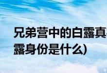 兄弟营中的白露真实身份是谁(兄弟营中的白露身份是什么)