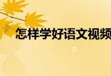 怎样学好语文视频教程（怎样学好语文）