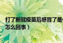 打了新冠疫苗后感冒了是什么原因（打了新冠疫苗后感冒是怎么回事）
