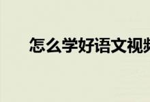 怎么学好语文视频（怎么学好语文？）