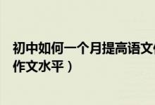 初中如何一个月提高语文作文水平（初中怎么快速提高语文作文水平）