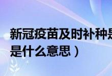 新冠疫苗及时补种是什么意思（新冠疫苗补种是什么意思）