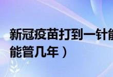 新冠疫苗打到一针能管多久（新冠疫苗打一针能管几年）