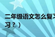 二年级语文怎么复习有效（二年级语文怎么复习？）