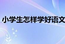 小学生怎样学好语文（怎么才能够学好语文）