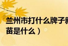 兰州市打什么牌子新冠疫苗（兰州生物新冠疫苗是什么）