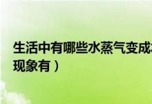 生活中有哪些水蒸气变成水的现象（生活中水变成水蒸气的现象有）