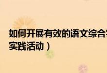 如何开展有效的语文综合实践活动（如何有效开展语文综合实践活动）