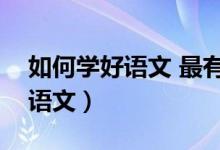 如何学好语文 最有效的方法（如何高效学习语文）