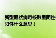 新型冠状病毒核酸呈阴性什么意思（新型冠状病毒核酸检测阳性什么意思）