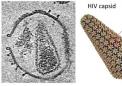 新技术解决了 HIV 衣壳结构并可能成为衣壳靶向抗病毒药物的蓝图