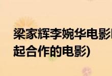梁家辉李婉华电影叫什么(梁家辉和李婉华一起合作的电影)