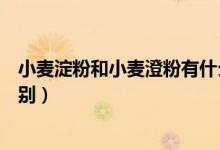 小麦淀粉和小麦澄粉有什么区别（小麦淀粉和澄粉有什么区别）