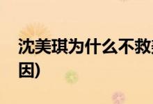 沈美琪为什么不救美宝(沈美琪不救美宝的原因)