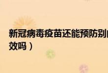新冠病毒疫苗还能预防别的病吗（新冠疫苗对变异的病毒有效吗）