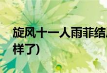 旋风十一人雨菲结局(旋风十一人雨菲最后怎样了)