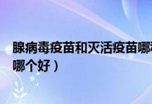 腺病毒疫苗和灭活疫苗哪种好（腺病毒载体疫苗和灭活疫苗哪个好）