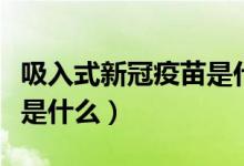 吸入式新冠疫苗是什么原理（吸入式新冠疫苗是什么）