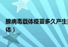 腺病毒载体疫苗多久产生抗体（腺病毒载体疫苗多久产生抗体）
