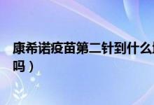 康希诺疫苗第二针到什么地方打（康希诺疫苗只打一针安全吗）