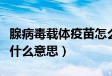 腺病毒载体疫苗怎么解释（腺病毒载体疫苗是什么意思）