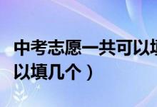 中考志愿一共可以填多少个（中考志愿一般可以填几个）