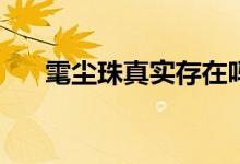 雮尘珠真实存在吗(雮尘珠真的存在吗)