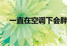 一直在空调下会胖吗（吹空调会变胖吗）